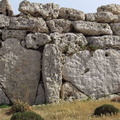 DSCF5828